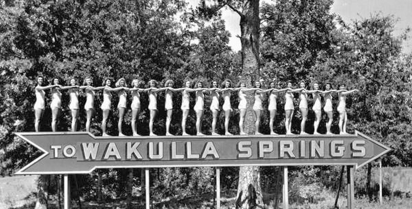 Discover the grand façade of The Lodge at Wakulla Springs, North Florida’s castle.